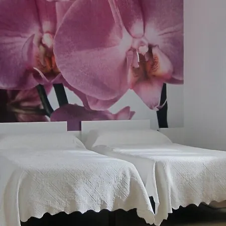 Gospodarstwo wiejskie Abaienea